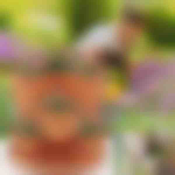 Macetas apilables verticales para plantas (Juego de 3) | PLANTUP