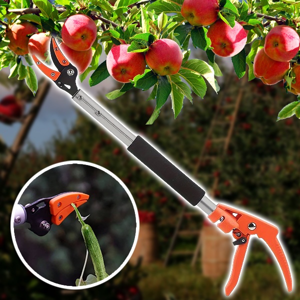 Tijeras de podar árboles y herramienta de cosecha (2 en 1) | TREESNIP