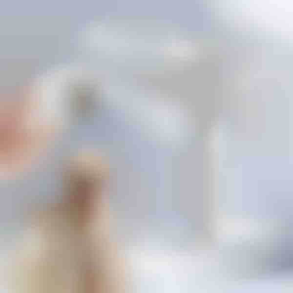 Cepillo de vapor para el cuidado de perros y gatos | GROOMSY