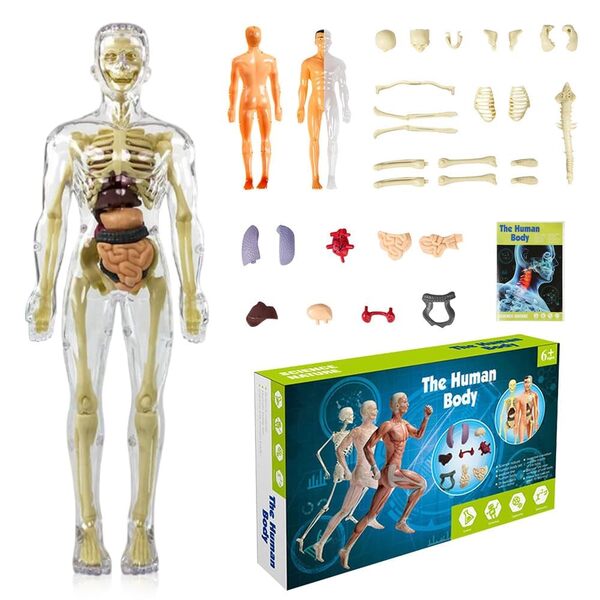 FLESHTOPIA14600