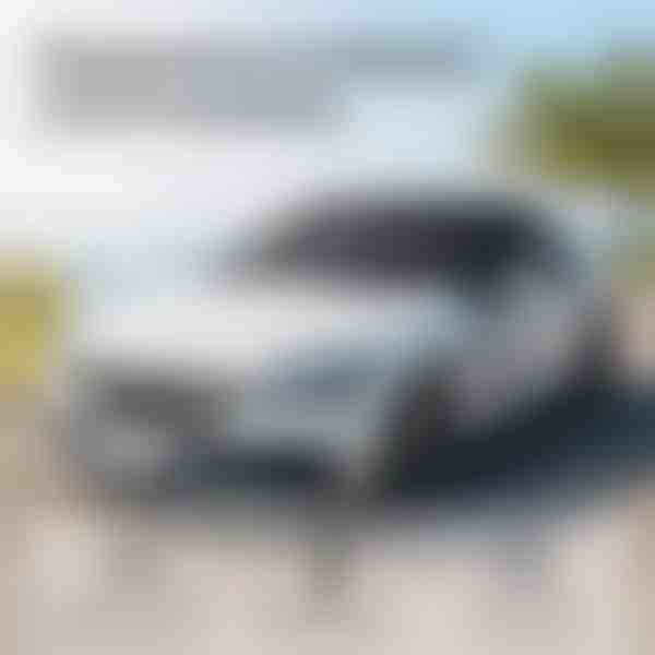 Protector solar reversible para parabrisas | CARCOVER