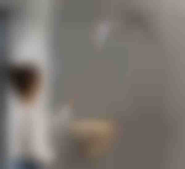 Herramienta de limpieza de ventanas | WINDCLEAN